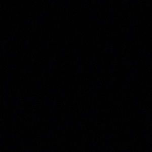 Meet your Posher, Bailey